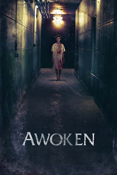 Awoken Hindi Dubbed Movie Poster (2019)