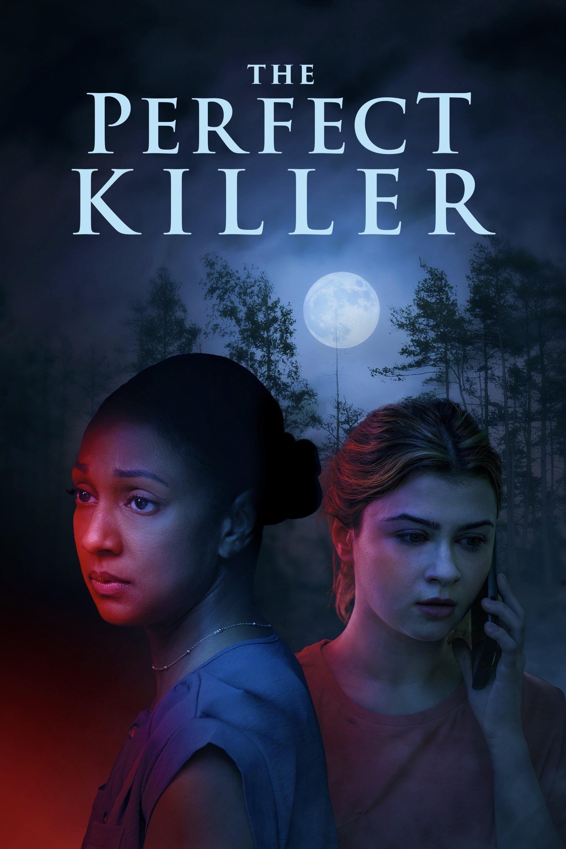 The Perfect Killer Hindi Dubbed Movie Poster (2025)